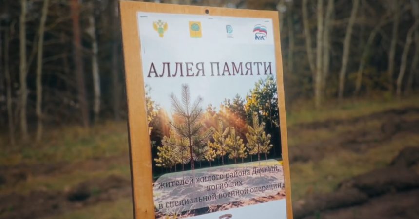 На Дачном в Липецке посадили сосновую аллею памяти погибших бойцов СВО