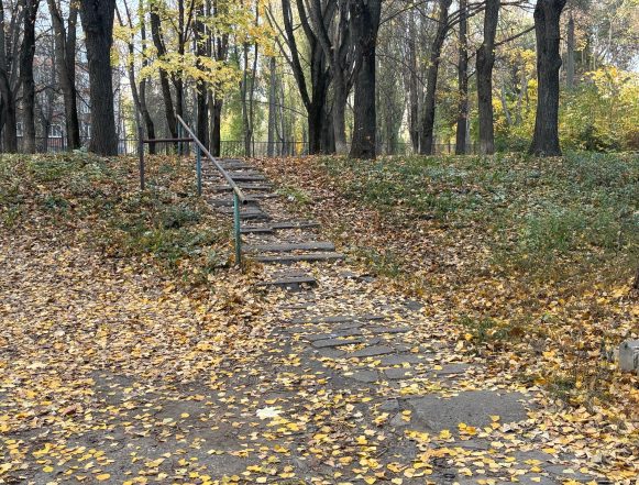 Лестницу от школы № 49 к домам № 11 и 13 на улице Звёздной в Липецке будут ремонтировать
