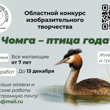 U4uSdZ0hpJG_XrP1fUNxGM41U9VuTCwAOwVEbUl33XjIB1WflW2nBCeaHKs7e0oQOADsUYe1gh1Xp1N6etcgzbyI Чомгу предлагают нарисовать липецким детям от 7 лет на конкурс