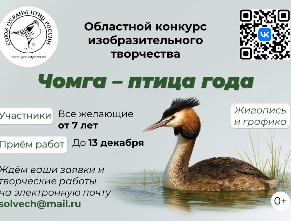 Чомгу предлагают нарисовать липецким детям от 7 лет на конкурс