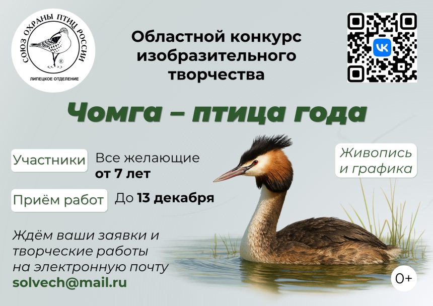 Чомгу предлагают нарисовать липецким детям от 7 лет на конкурс